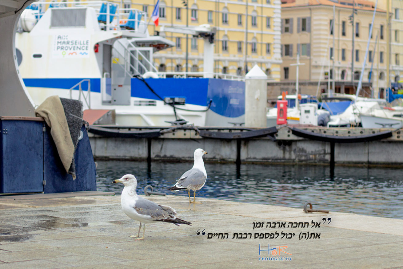 מילים לחיזוק -  HR Photography Israël