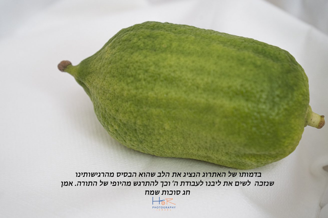 תמונות של סוכות- HR Photography Israël