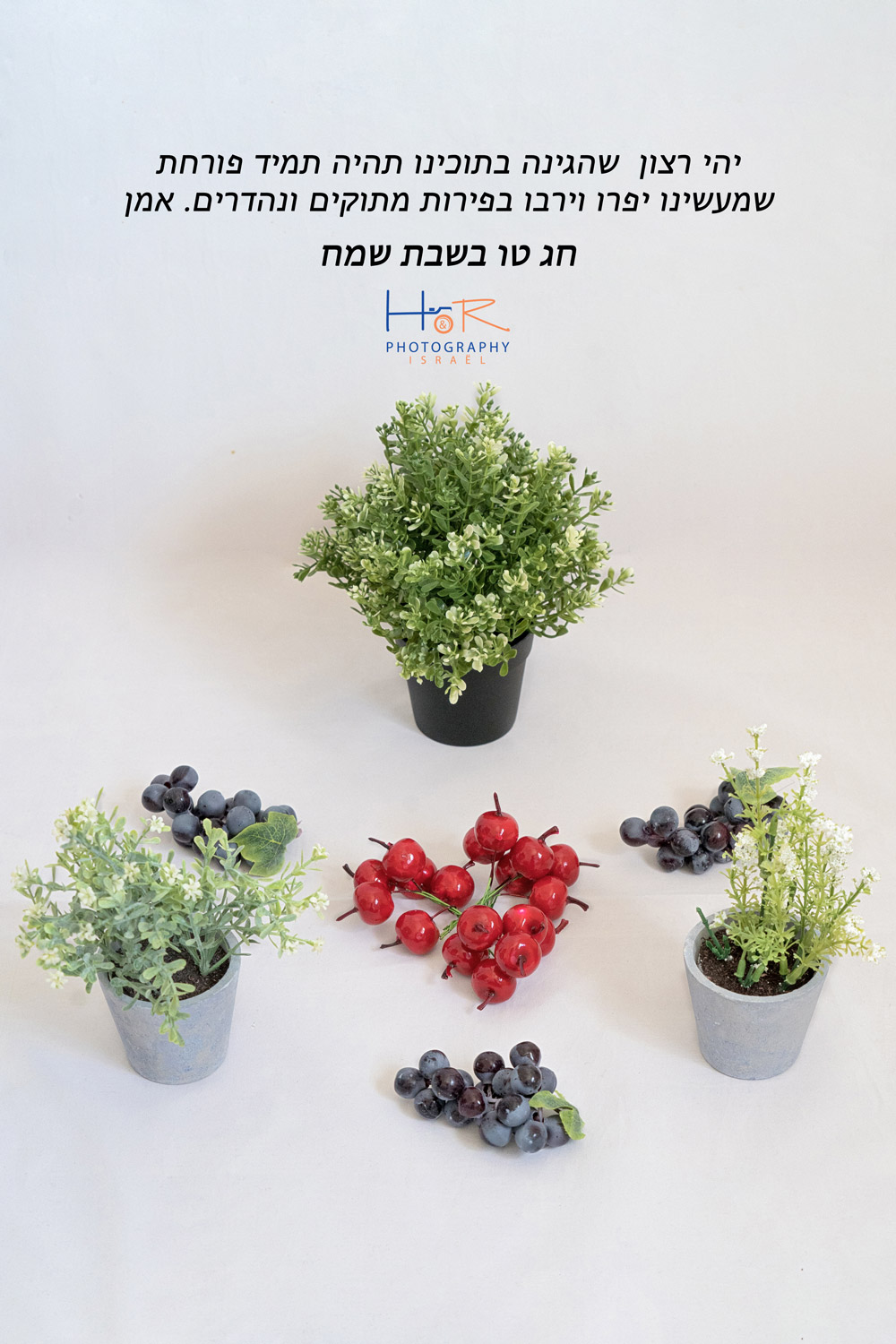 טו בשבת תמונות HR Photography Israël