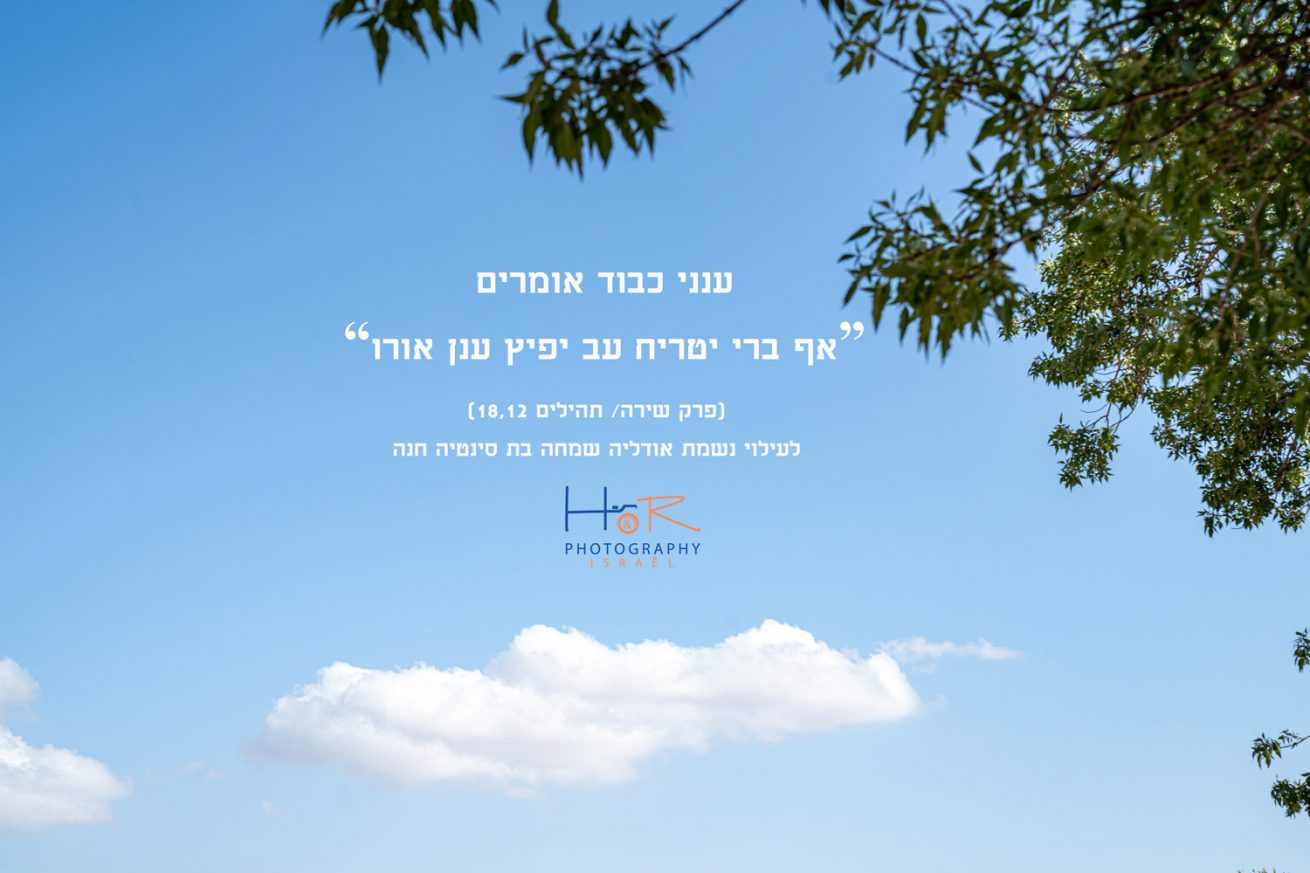 חיזוק ואומץ - HR Photography Israël- HR Photography Israël