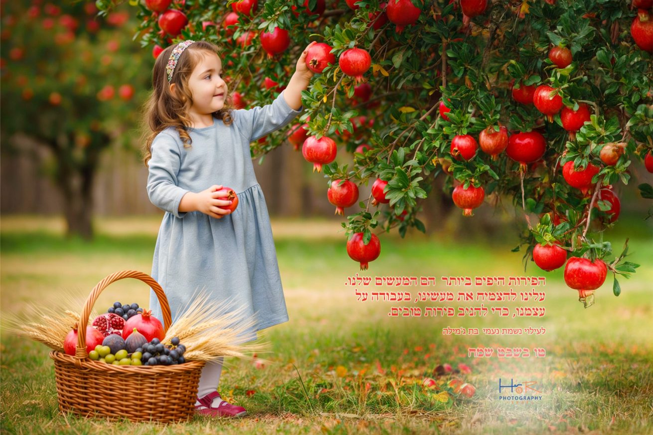טו בשבת תמונות HR Photography Israël